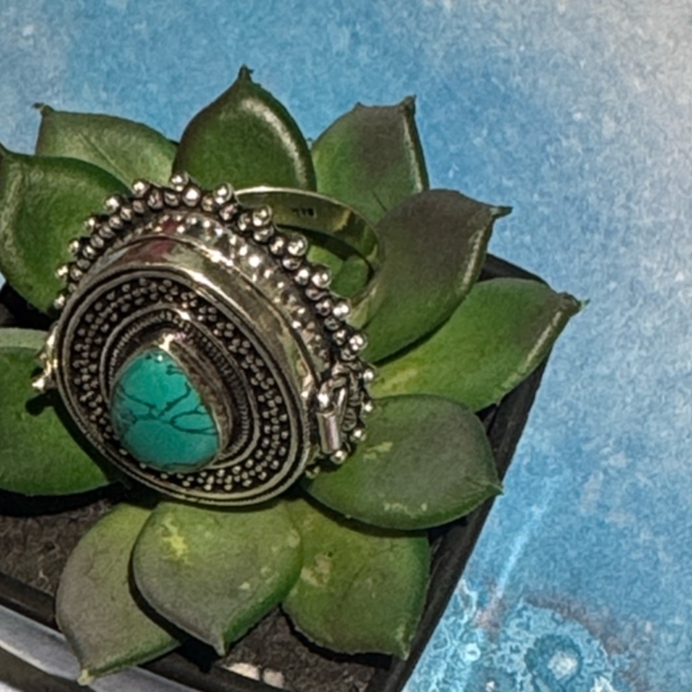 Silver Turquoise Poison Ring - image 8